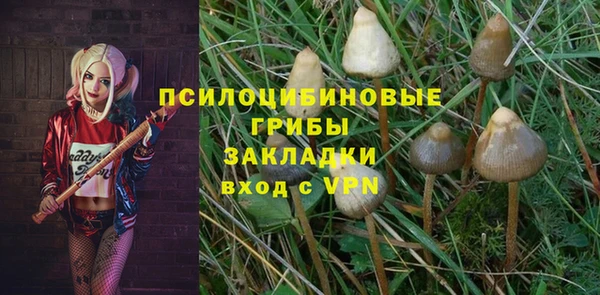 прущие грибы Волоколамск