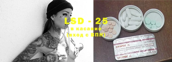 прущие грибы Волоколамск