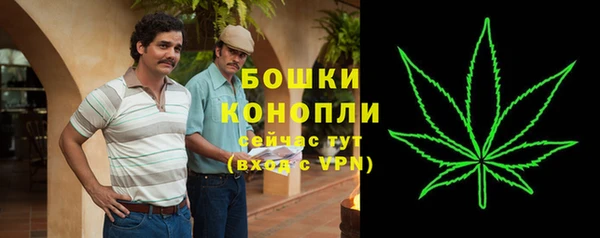 прущие грибы Волоколамск