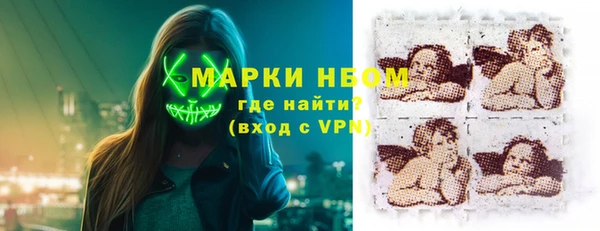 прущие грибы Волоколамск